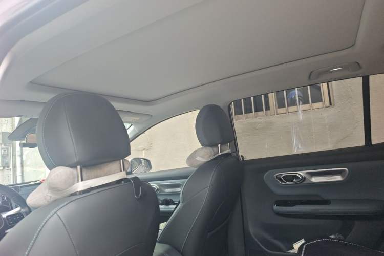 Used AION Y 2024 Plus 510 Intelligent Driving Version Headliner