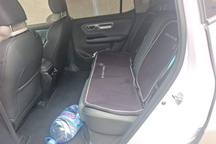 Used AION Y 2024 Plus 510 Intelligent Driving Version Left Rear Seat
