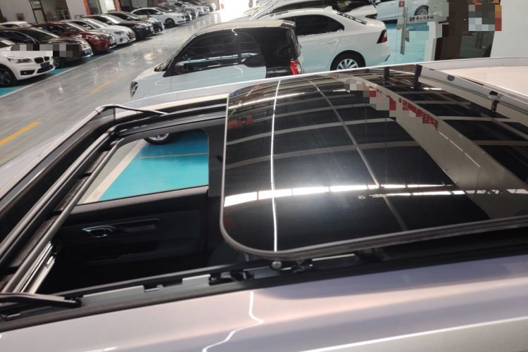 Used AION Y 2024 Younger Star Edition Roof