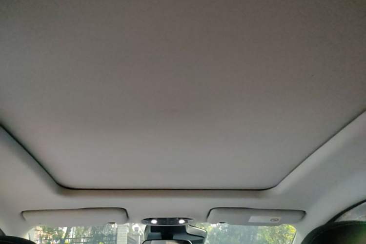 Used AION Y 2024 Plus 610 Intelligent Driving Version Headliner