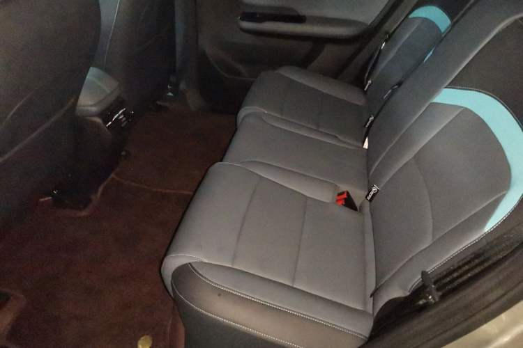 Used AION Y 2024 Plus 610 Intelligent Driving Version Left Rear Seat