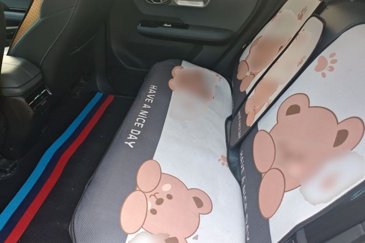 Used AION Y 2024 Younger Star Edition Left Rear Seat