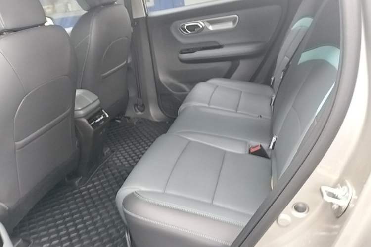 Used AION Y 2024 Plus 510 Intelligent Driving Version Left Rear Seat
