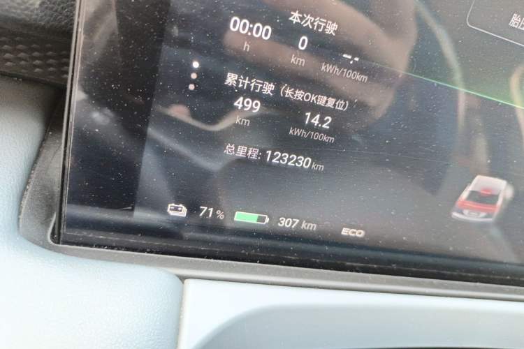 Used AION Y 2024 Younger Odometer Close Up