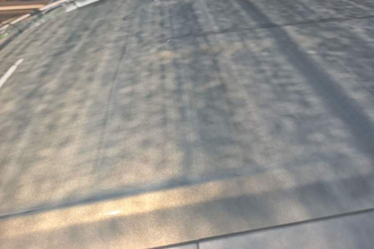 Used AION Y 2024 Younger Roof