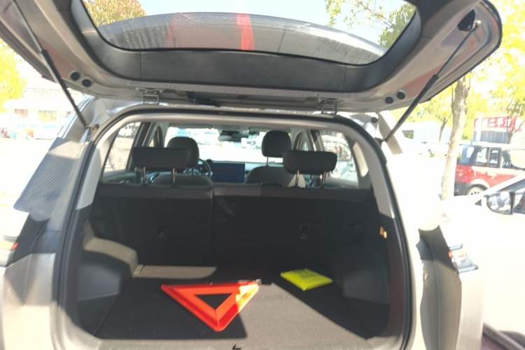 Used AION Y 2024 Younger Trunk