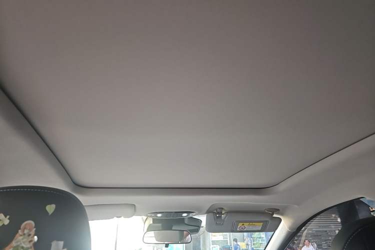 Used AION Y 2024 Plus 510 Intelligent Driving Version Headliner