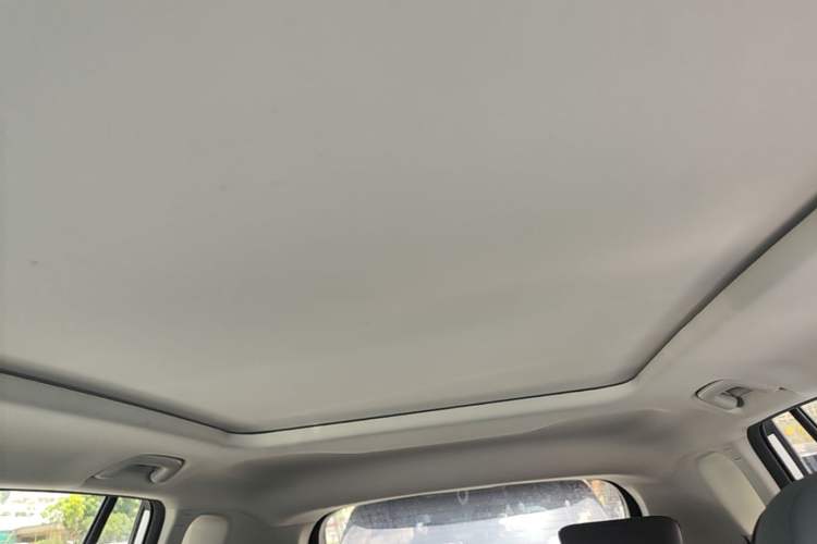 Used AION Y 2024 Plus 610 Intelligent Driving Version Headliner