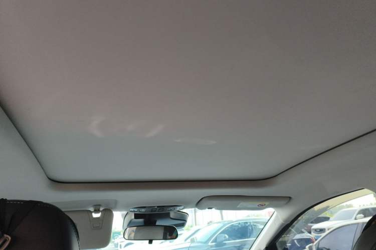 Used AION Y 2024 Plus 610 Intelligent Driving Version Headliner