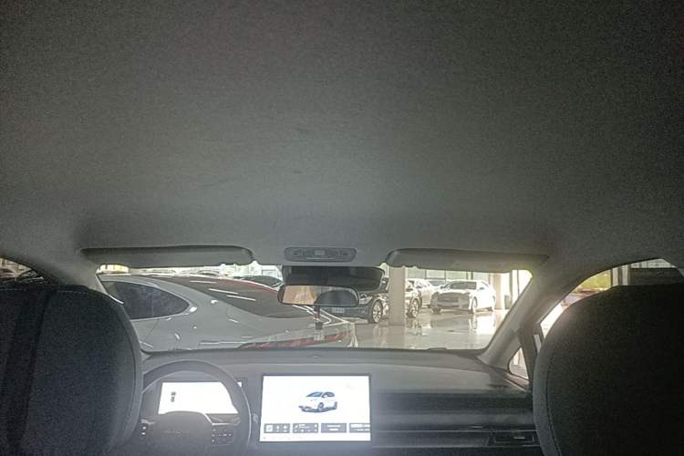 Used AION Y 2024 Plus 610 Intelligent Driving Version Headliner