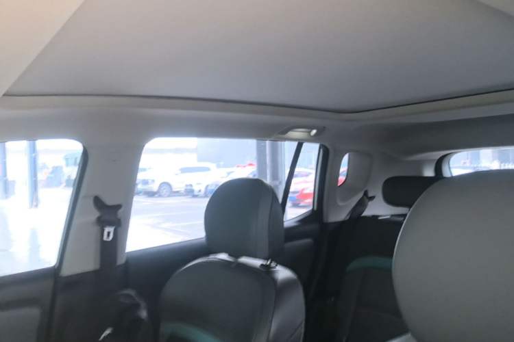 Used AION Y 2024 Plus 510 Intelligent Driving Version Headliner