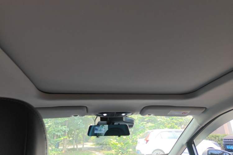 Used AION Y 2024 Plus 510 Intelligent Driving Version Headliner
