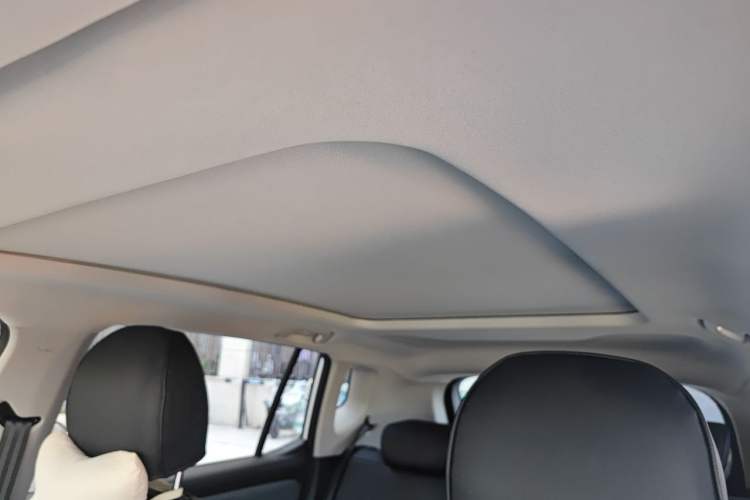 Used AION Y 2024 Plus 510 Intelligent Driving Version Headliner