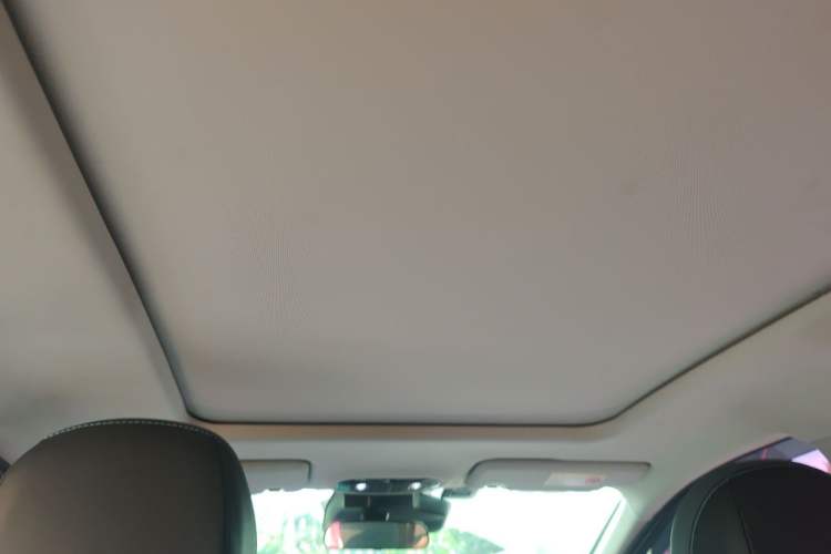 Used AION Y 2024 Plus 510 Intelligent Driving Version Headliner
