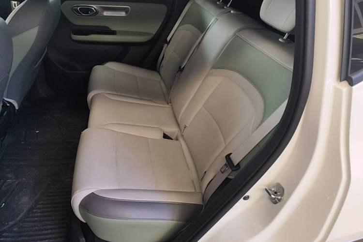 Used AION Y 2024 Plus 510 Intelligent Driving Version Left Rear Seat