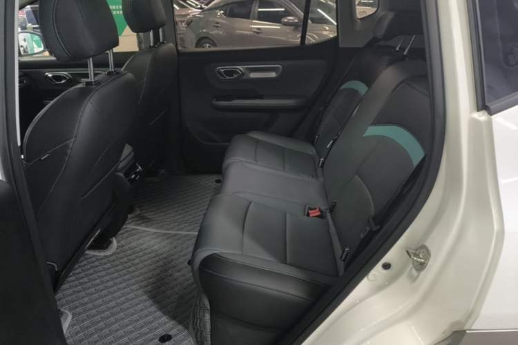 Used AION Y 2024 Plus 510 Intelligent Driving Version Left Rear Seat