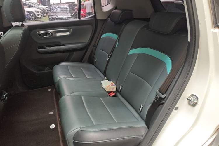 Used AION Y 2024 Plus 510 Intelligent Driving Version Left Rear Seat