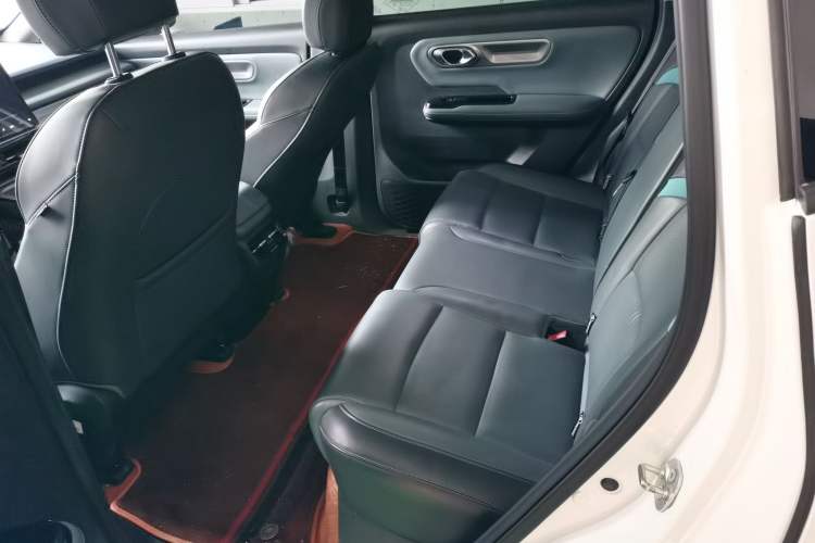 Used AION Y 2024 Plus 610 Intelligent Driving Version Left Rear Seat