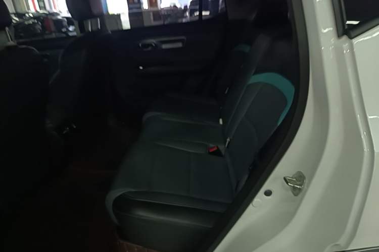 Used AION Y 2024 Younger Star Edition Left Rear Seat