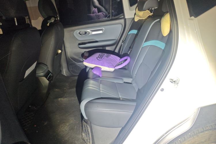 Used AION Y 2024 Plus 510 Intelligent Driving Version Left Rear Seat