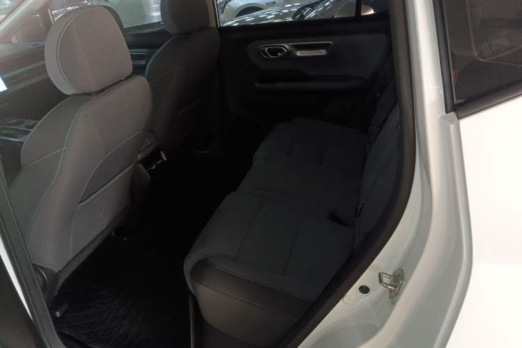 Used AION Y 2024 Younger Left Rear Seat