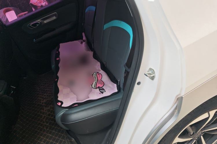 Used AION Y 2024 Plus 510 Intelligent Driving Version Left Rear Seat