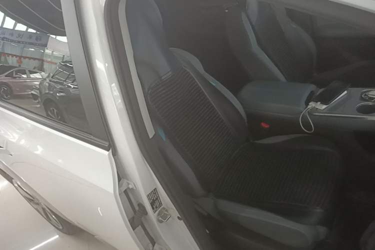 Used AION Y 2024 Plus 610 Intelligent Driving Version Right Front Seat