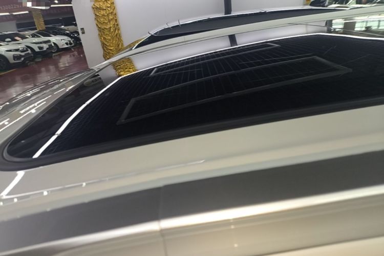Used AION Y 2024 Younger Star Edition Roof