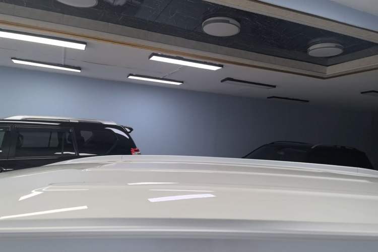 Used AION Y 2024 Younger Star Edition Roof