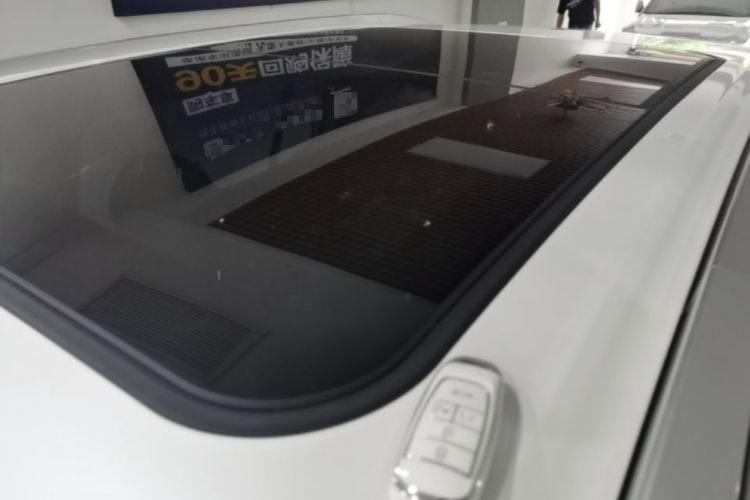 Used AION Y 2024 Younger Star Edition Roof