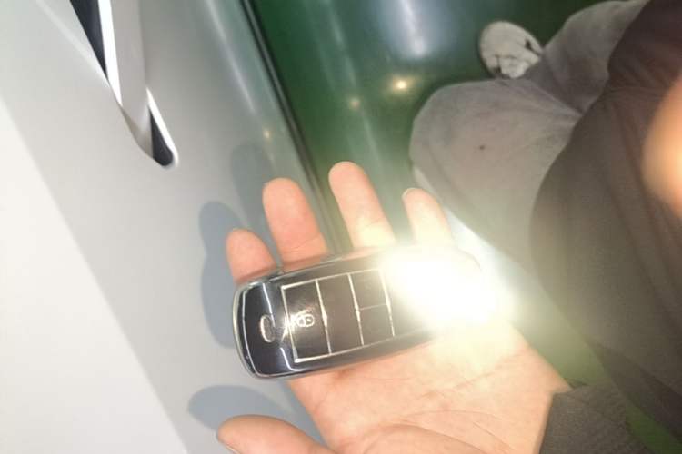 Used AION Y 2024 Younger Star Edition Vehicle Key