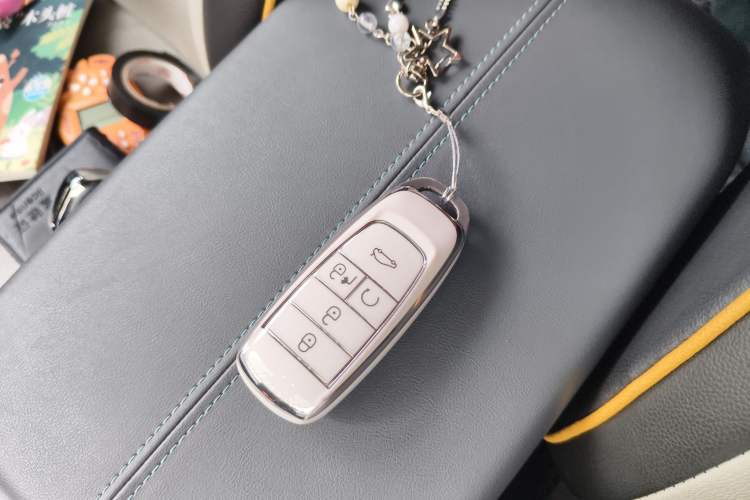 Used AION Y 2024 Younger Star Edition Vehicle Key