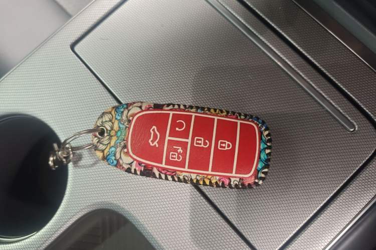 Used AION Y 2024 Younger Star Edition Vehicle Key