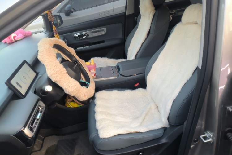 Used AION Y 2025 Plus 510 Zhihao Edition Left Front Seat