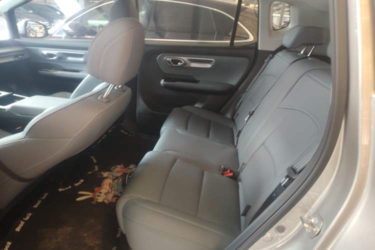 Used AION Y 2025 Plus 510 Zhihao Edition Left Rear Seat