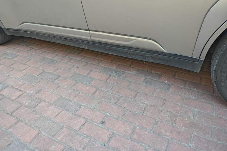 Used AION Y 2025 Plus 510 Smart Edition Left Side Sill