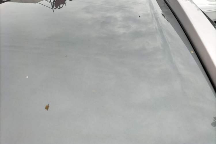 Used AION Y 2025 Plus 510 Smart Edition Roof