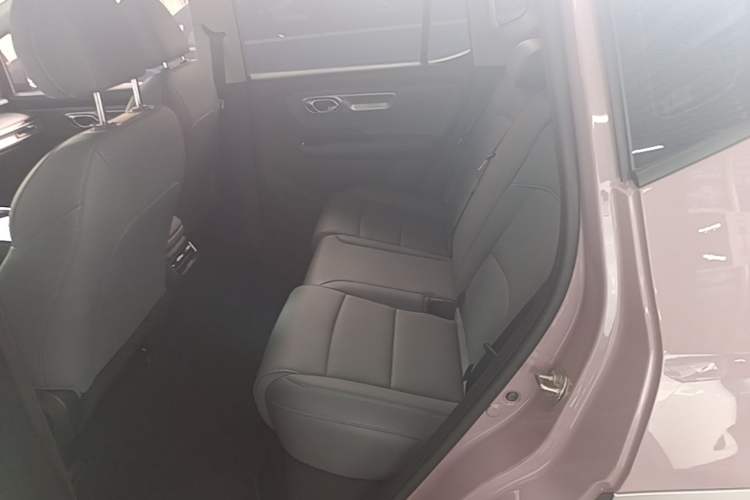 Used AION Y 2025 Plus 510 Zhihao Edition Left Rear Seat