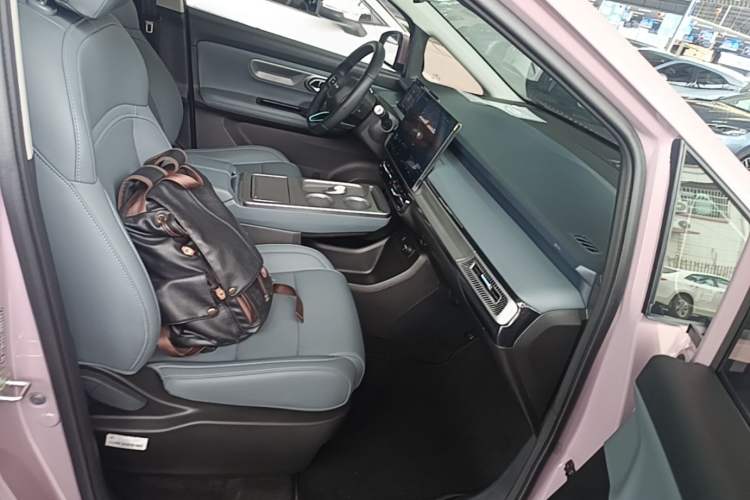 Used AION Y 2025 Plus 510 Zhihao Edition Right Front Seat