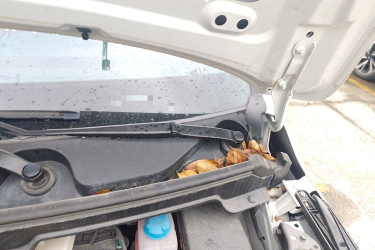 Used AION Y 2025 Plus 510 Enjoy Edition Engine Bay Left