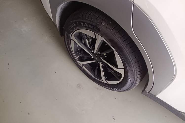 Used AION Y 2025 Plus 510 Smart Edition Exterior 5
