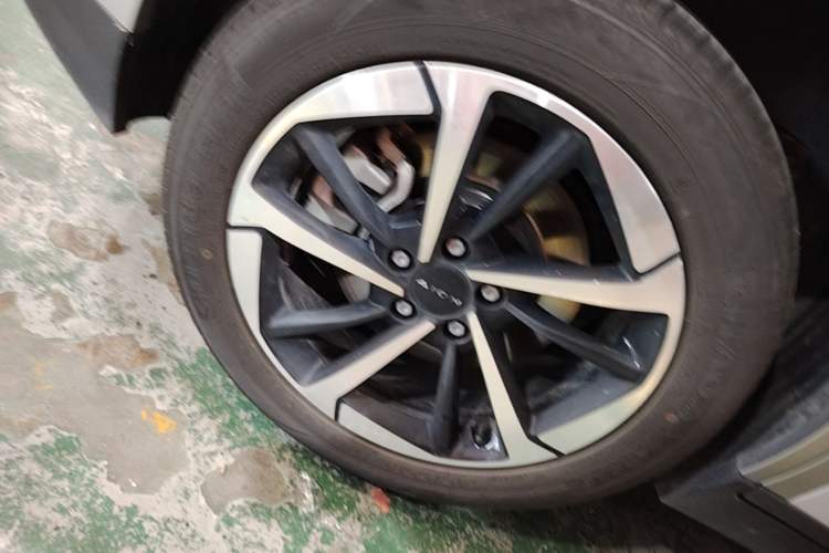 Used AION Y 2025 Plus 510 Smart Edition Exterior 5