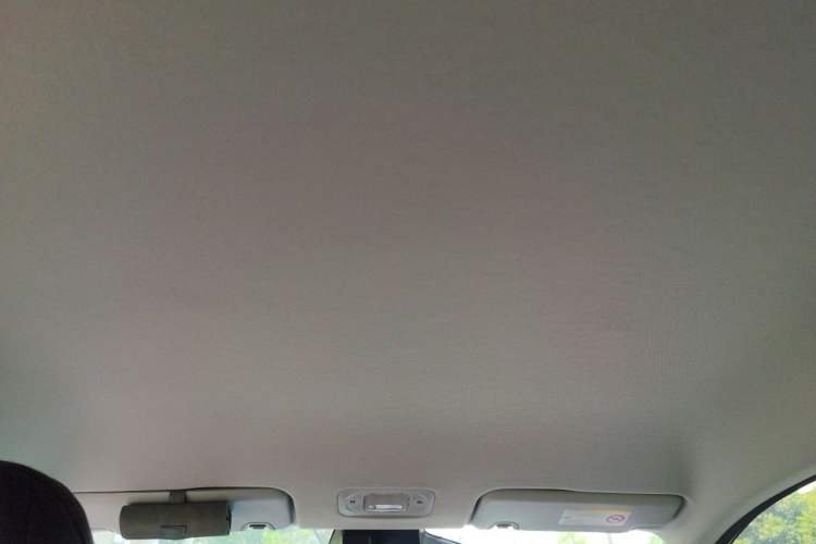 Used AION Y 2025 Plus 510 Smart Edition Headliner