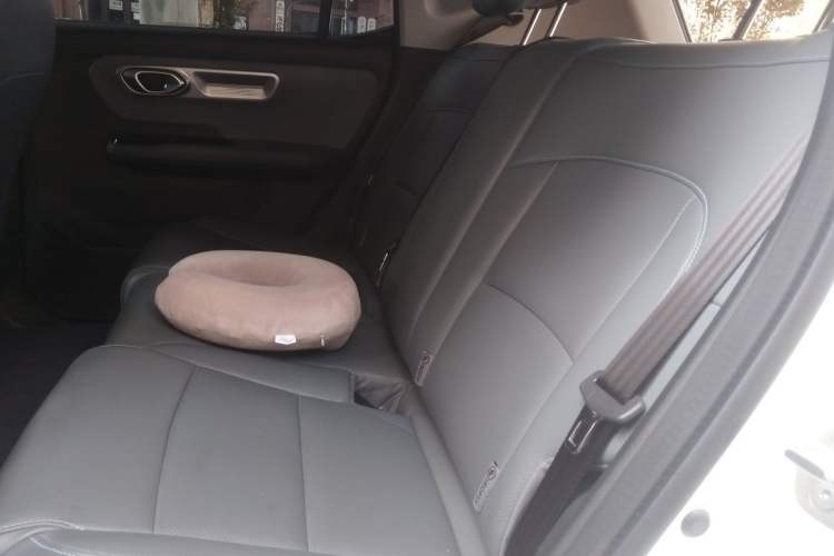 Used AION Y 2025 Plus 510 Zhihao Edition Left Rear Seat