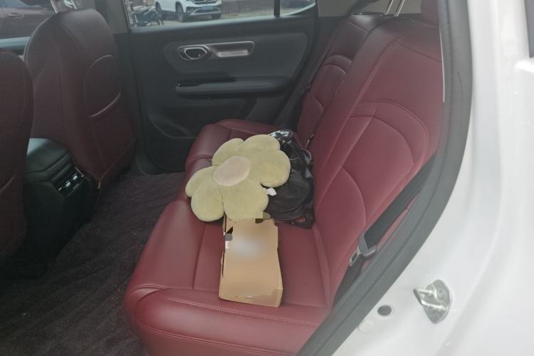 Used AION Y 2025 Plus 510 Smart Edition Left Rear Seat