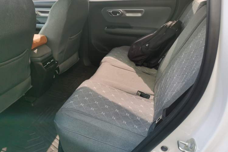 Used AION Y 2025 Plus 510 Zhihao Edition Left Rear Seat