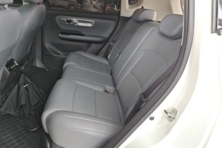 Used AION Y 2025 Plus 510 Zhihao Edition Left Rear Seat