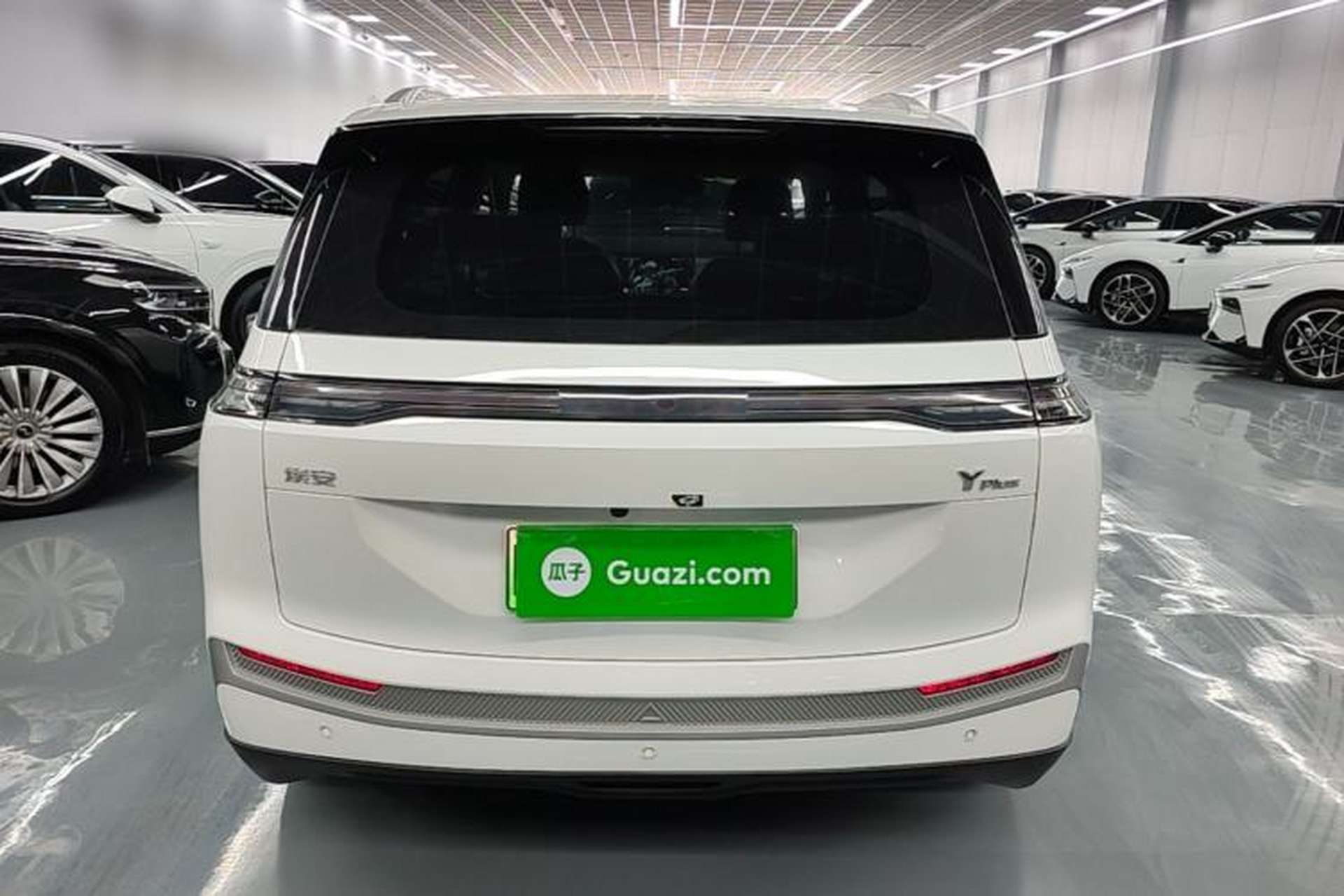 Used AION Y 2025 Plus 510 Zhihao Edition Rear