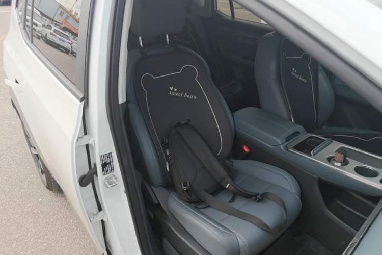 Used AION Y 2025 Plus 510 Zhihao Edition Right Front Seat