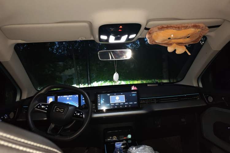 Used Aiways U5 2021 U5 SE Headliner